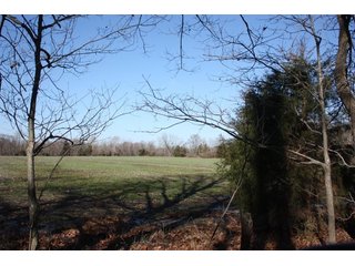 Property photo 14 - REAL ESTATE AUCTION - 366+/- ACRES OFFERED IN 5 TRACTS IN WESTERN JEFFERSON COUNTY, INDIANA